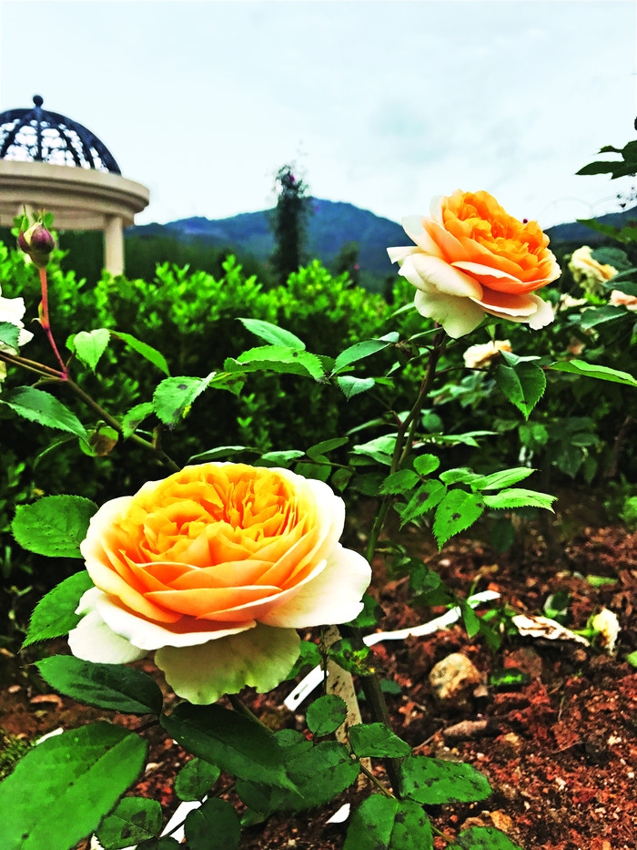 开化花牵谷景区 (3).jpg