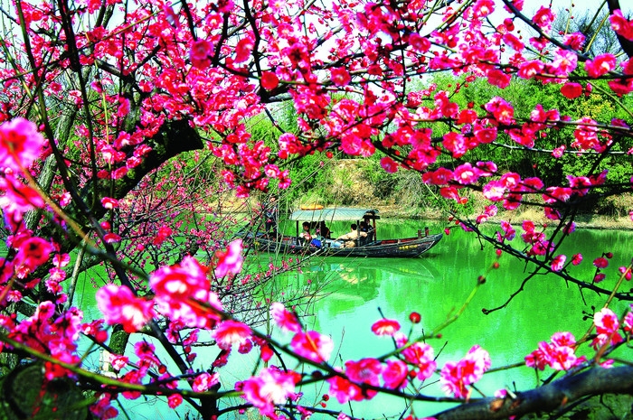 杭州西溪湿地国家公园06.jpg