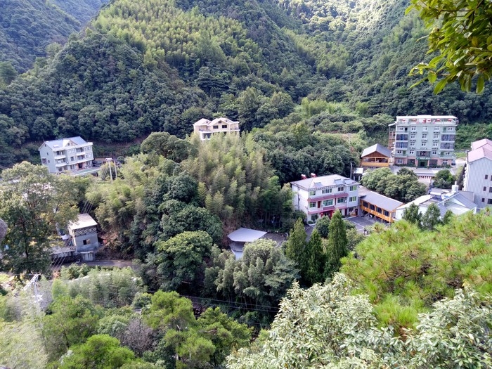 青田森林人家特色村.jpg