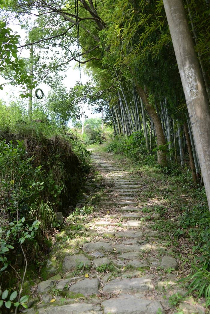 大荆盘黄古道——叶傲蕾 (29).jpg