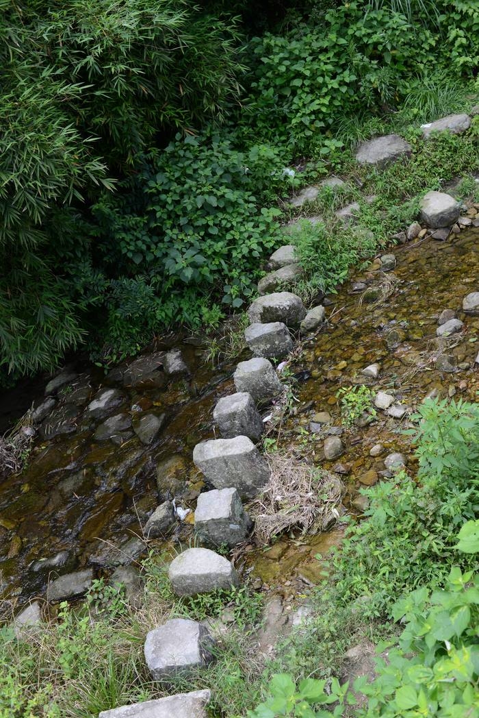 大荆盘黄古道——叶傲蕾 (27).jpg