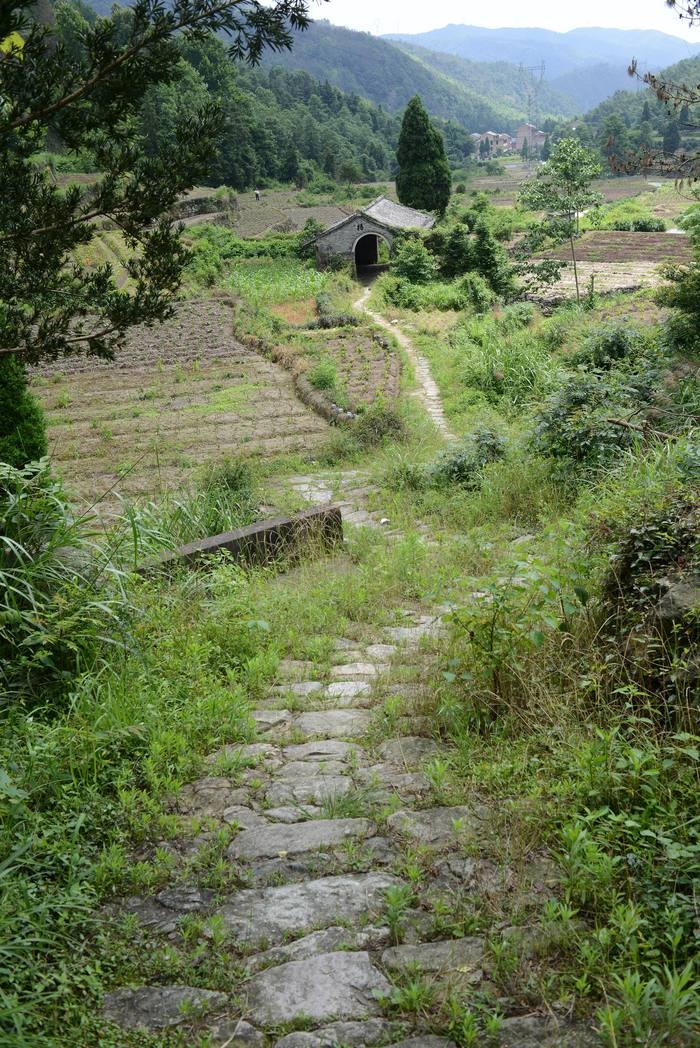 大荆盘黄古道——叶傲蕾 (22).jpg