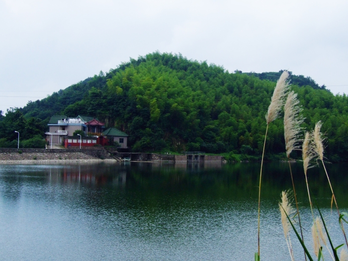 DSCF0201.JPG