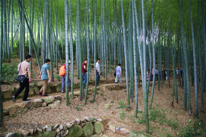 柯桥绿林竹海森林公园.jpg
