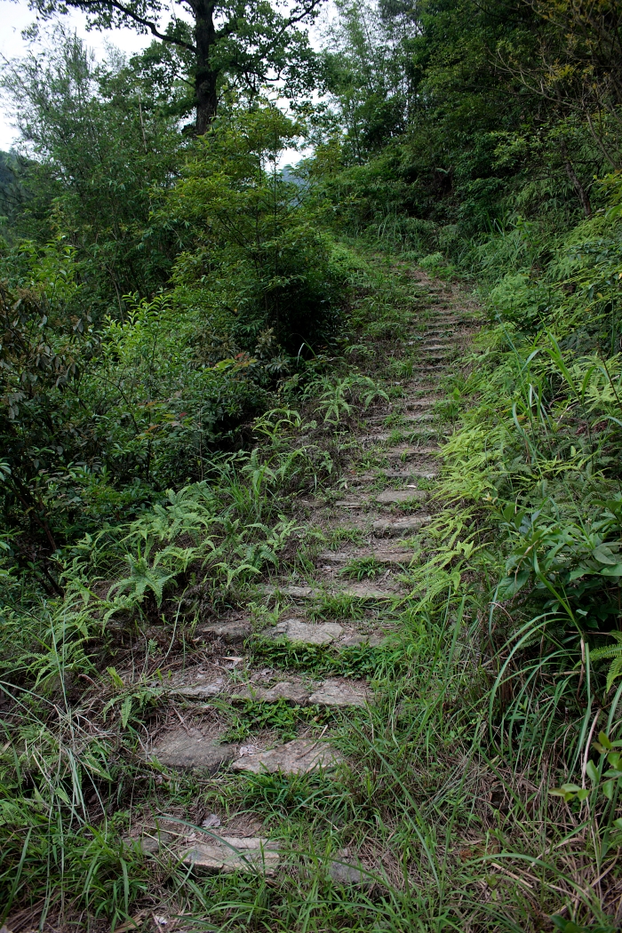 05 俗称“楼梯头”.jpg