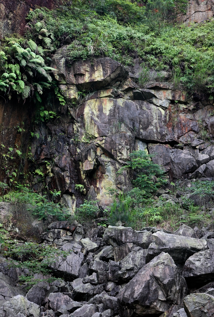 04 昂立的“山猫”.jpg