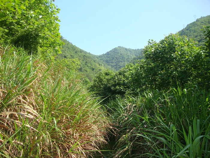 梅城古道1.JPG