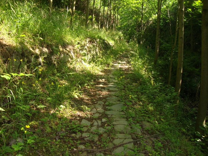 梅城古道4.JPG