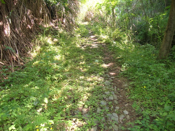 梅城古道6.JPG