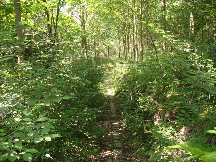 梅城古道8.JPG