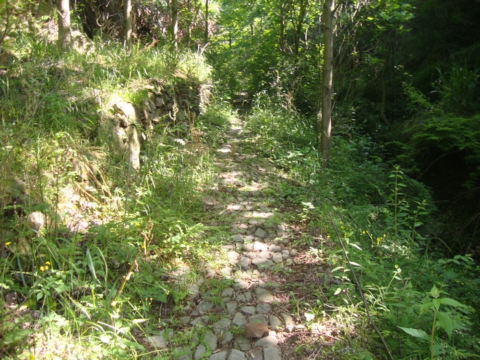 梅城古道10.JPG