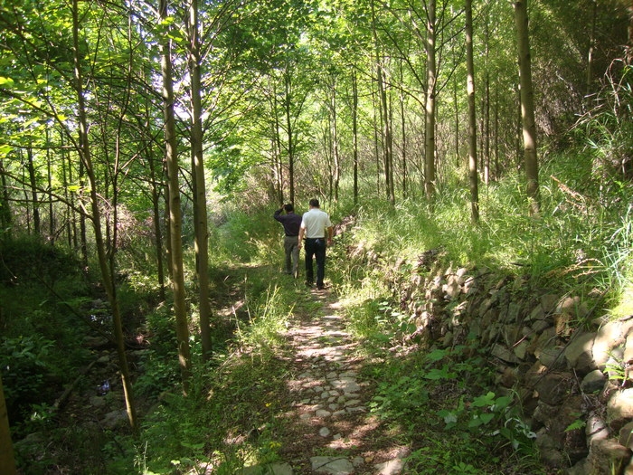 梅城古道11.JPG