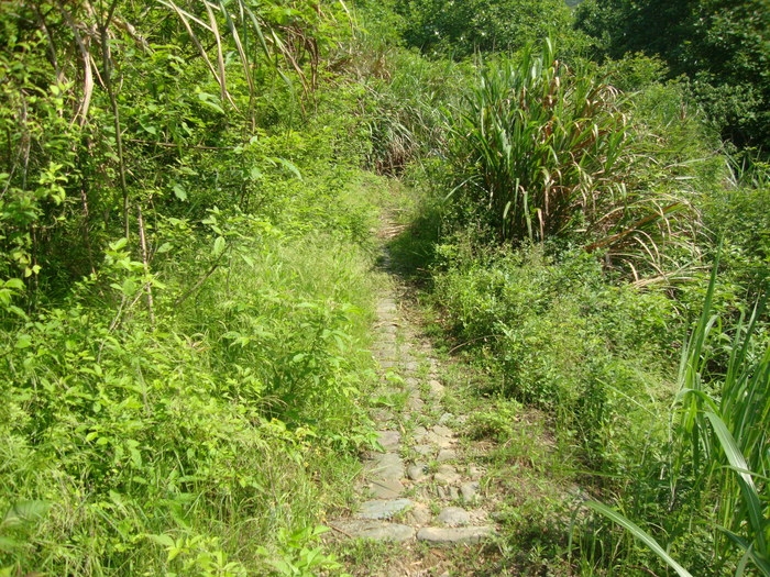 梅城古道12.JPG