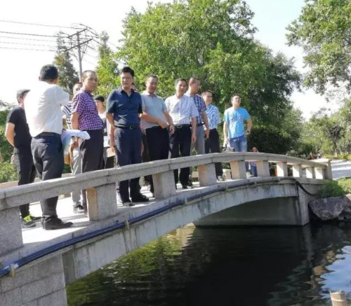 区委书记陈应许专题督查永中站位河道剿劣工作