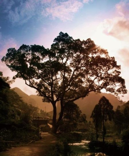 黄檀硐古村
