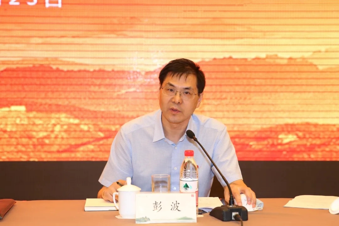 81.webp.jpg 81.webp.jpg