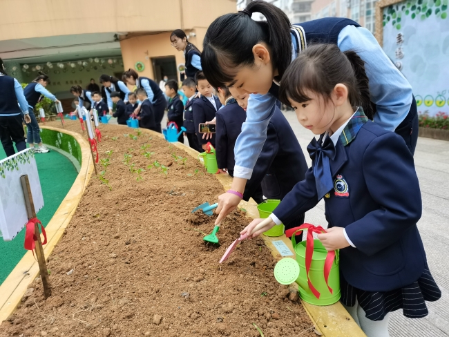 3鳌江中心幼儿园.jpg,
