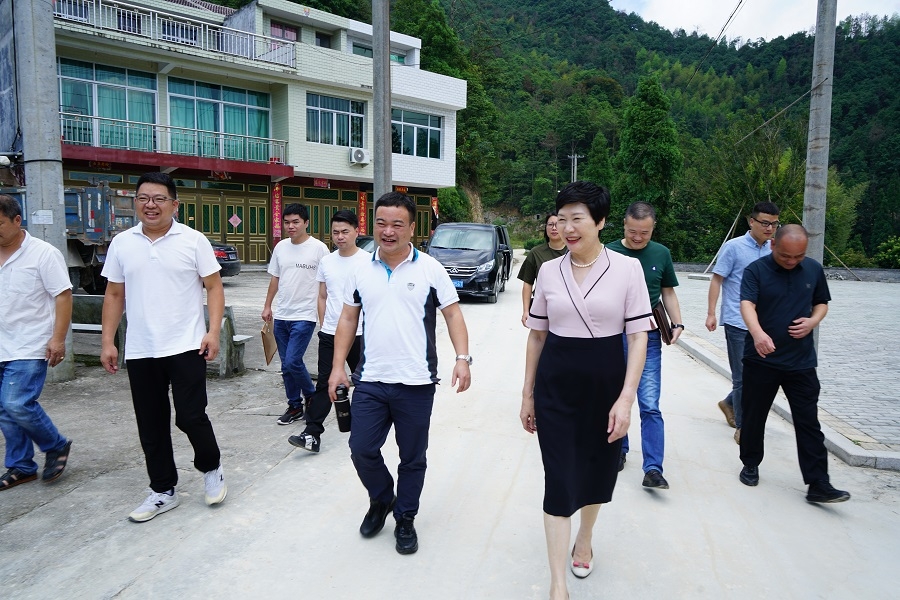 瑞安市政协主席管秀云主席走访调研高楼镇驮庵村.jpg