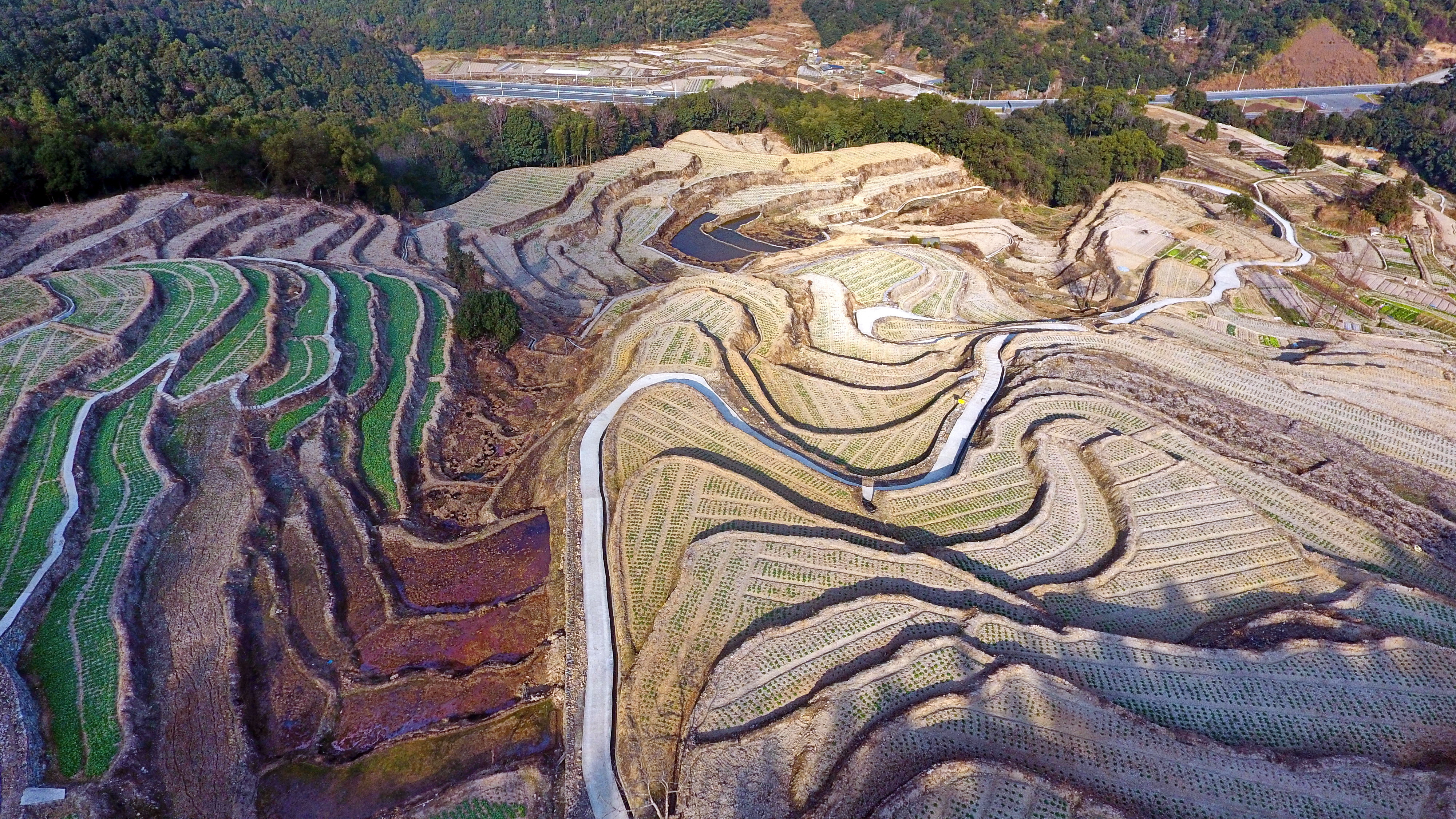 DJI_0666a.JPG