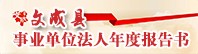 事业单位法人报告