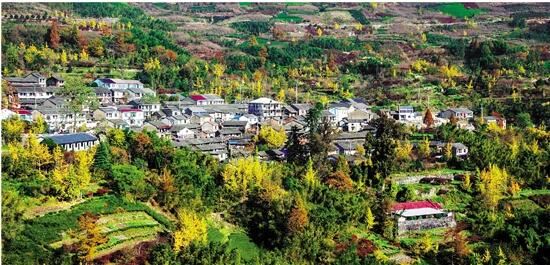 zjrb2020101500009v02b008.jpg zjrb2020101500009v02b008.jpg