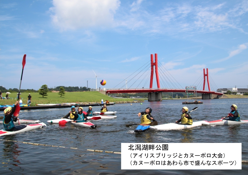 5湖畔公园 Park.jpg