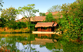 One Day Tour in Xixi National Wetland Park