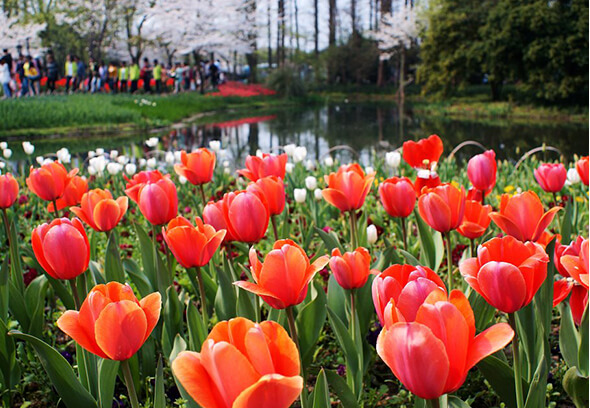 La visite d'une journée de photographie au parc de Taiziwan