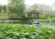 Zijing Park