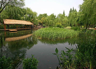 Le Parc Bachelor