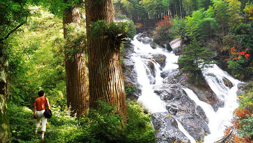 Tianmu Mountain