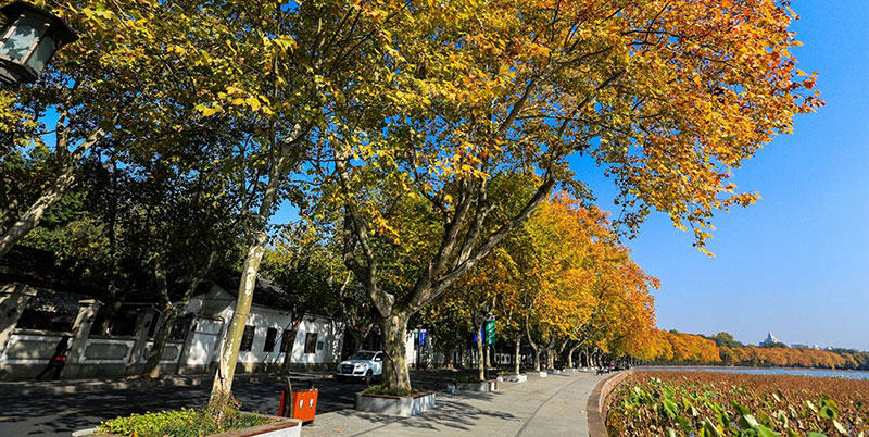 Beishan Road