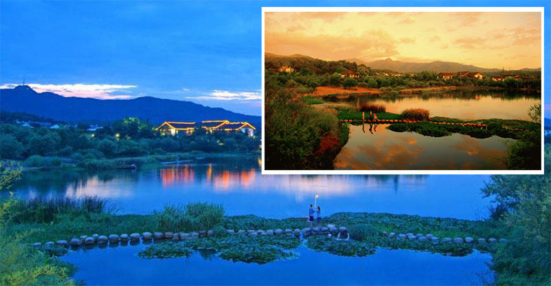 Hangzhou Maojiabu