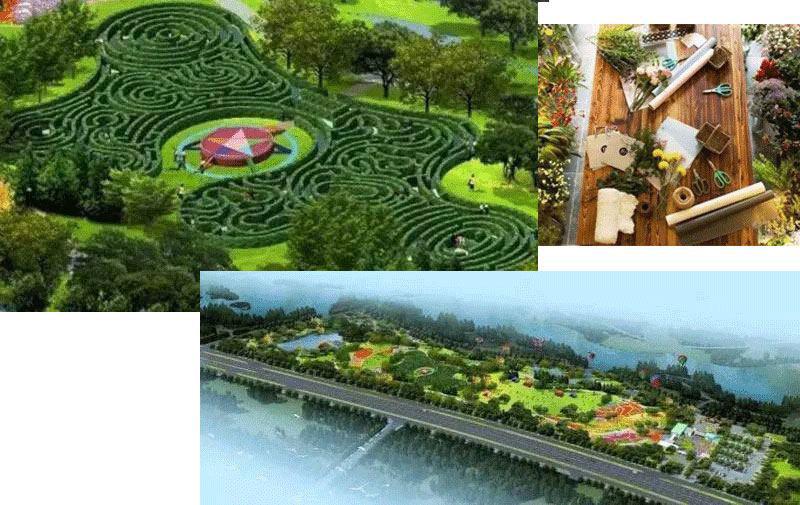 The Largest Plant Maze in Zhejiang, China