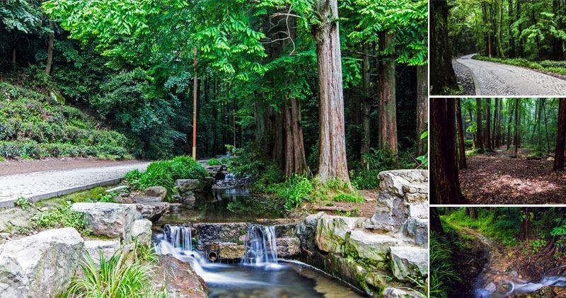 Qianlong Ancient Path - Hangzhou Ancient Paths