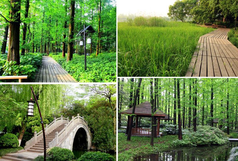 Pilgrim Ancient Path - Hangzhou Ancient Paths