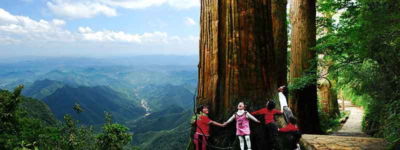 Tianmu Mountain
