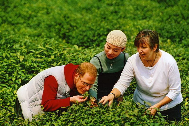 Xihu Longjing Green Tea Xihu Longjing Green Tea