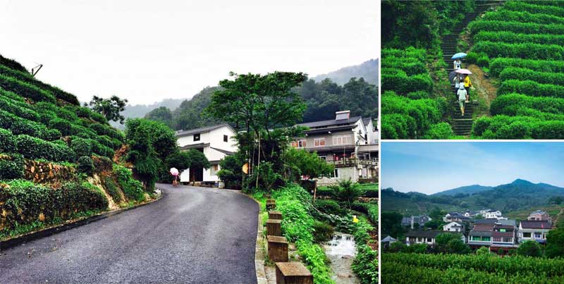 Longjing Village Longjing Village