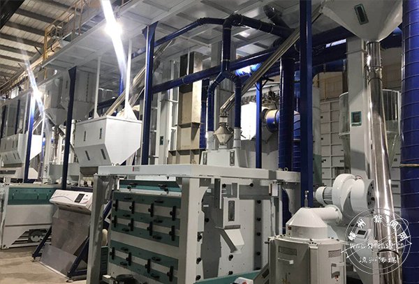 三碗米业“五优联动” 做实粮食产业链