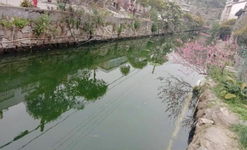 微信图片_20200401084334.jpg