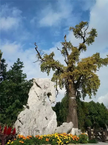 001_调整大小.jpg