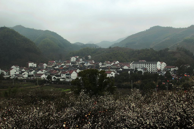 绍兴王坛东村