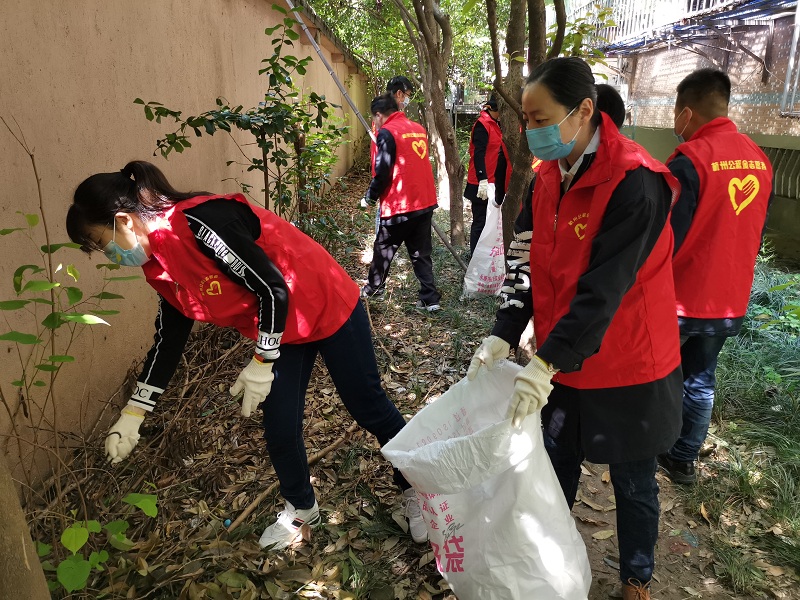 参加清洁社区环境志愿服务活动3