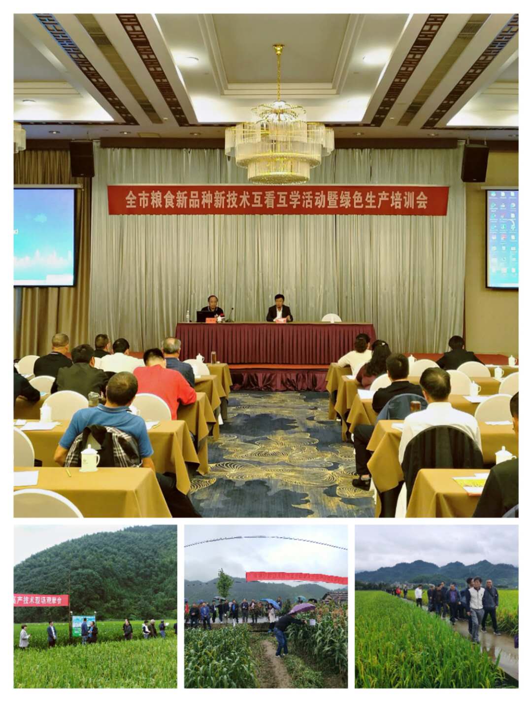 微信图片_20200924133850