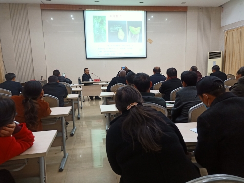 IMG20201202154357.jpg