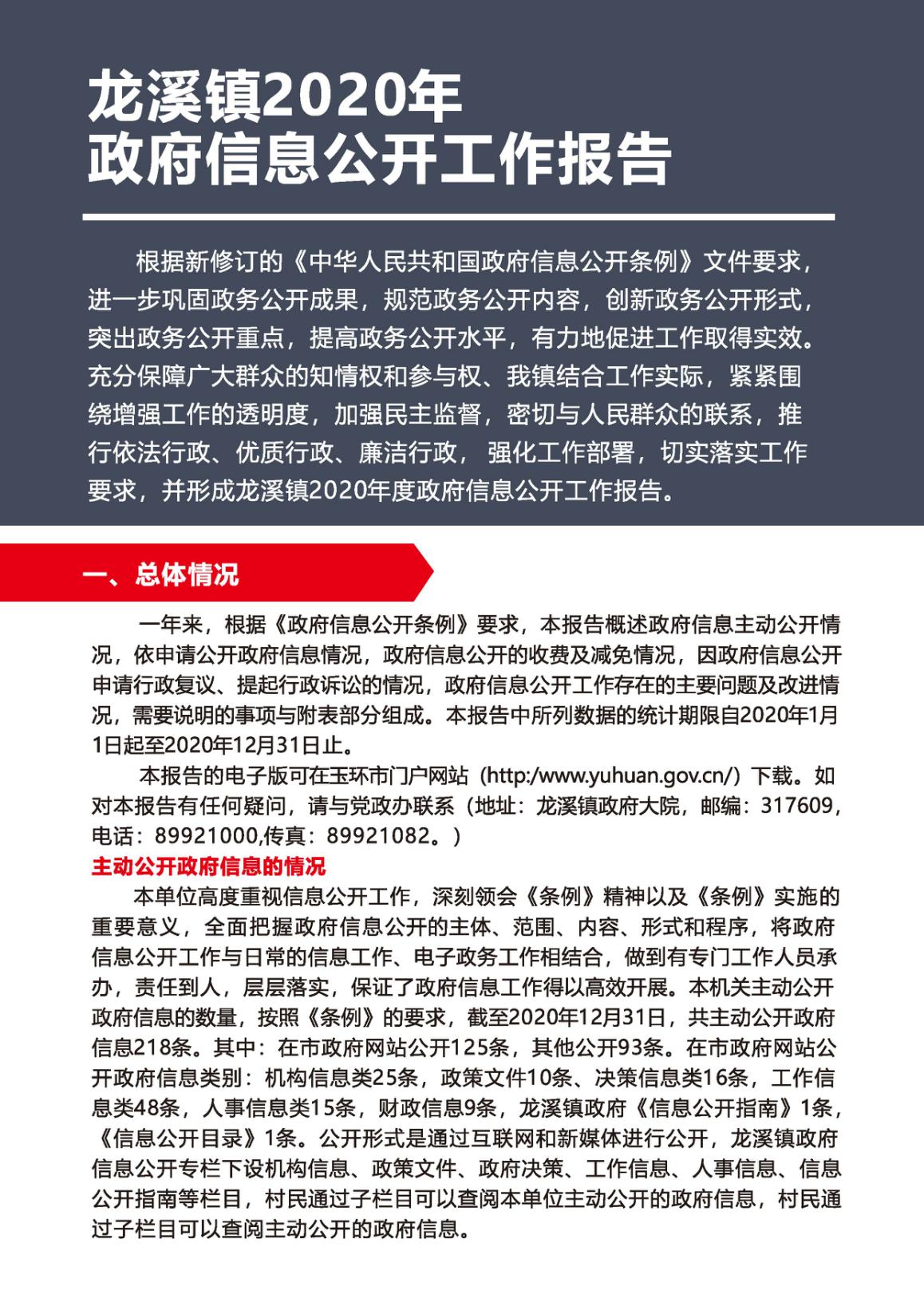 龙溪镇2020年政府信息公开工作报告(1)_页面_1