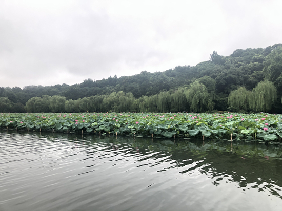 后孤山荷区