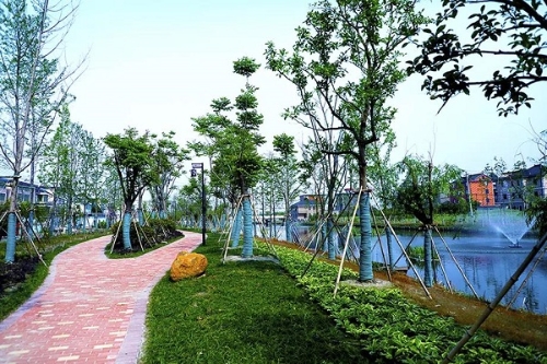 微信图片_20200515153439.jpg