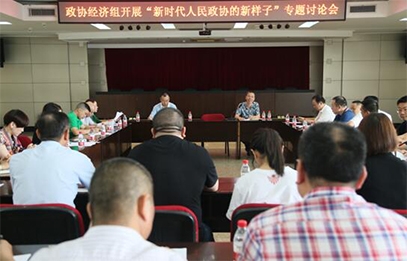 市政协经济界别组开展“新时代人民政协的新样子”专题讨论会